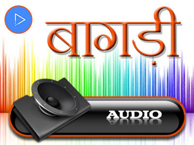 Bagri Audio Primary Pic.jpg